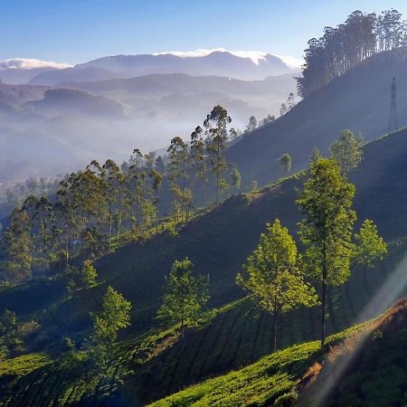 Grace Inn Munnar Homestay Exteriör bild
