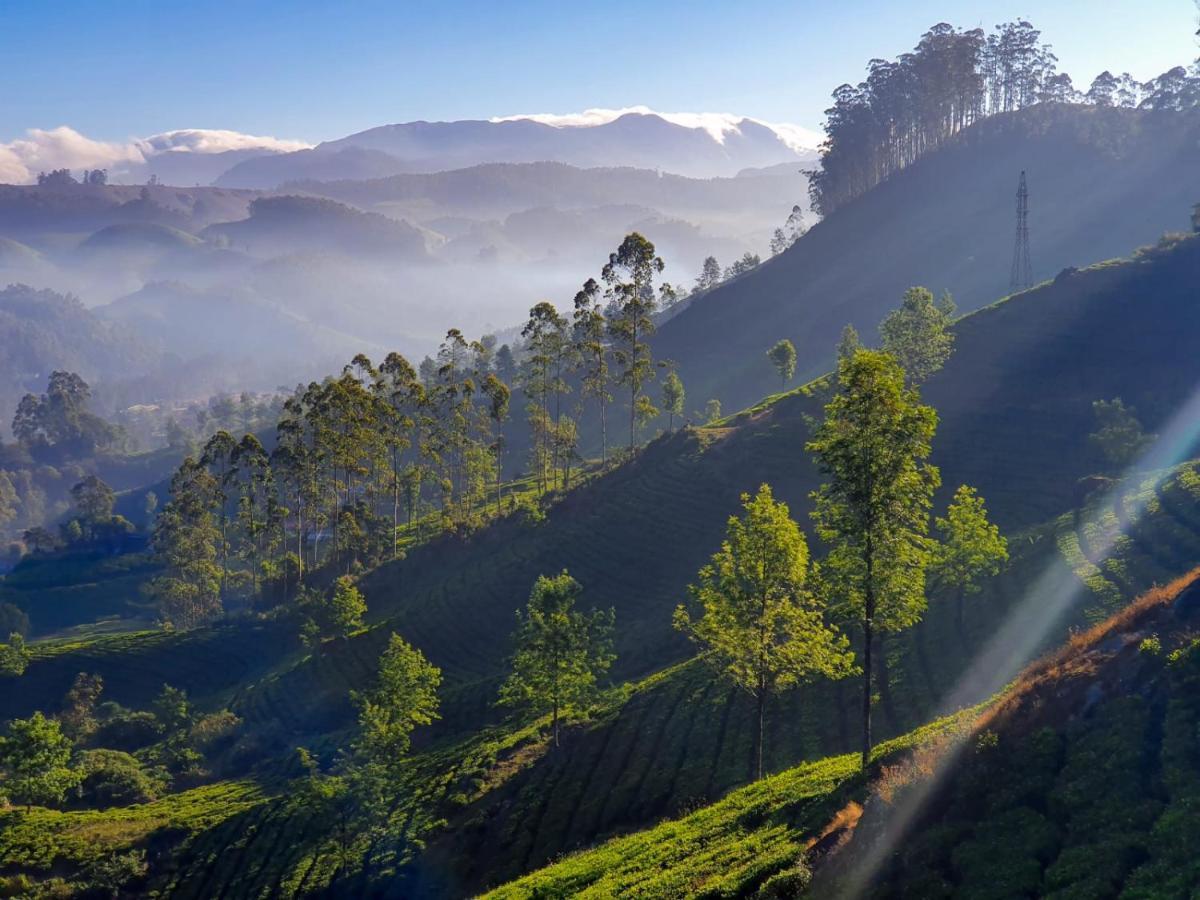 Grace Inn Munnar Homestay Exteriör bild